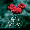 user7760700834543