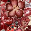 ilovemonkeys167