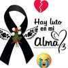 bellota.oficial1