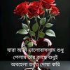 user24007252971201