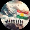 ez.amed.211