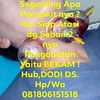 bekam217