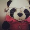 intnette_