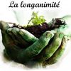 longanimit7
