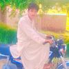 mharmadni2646