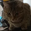 qt.sammy08