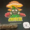 semillas_x_euro