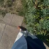 titouan_221
