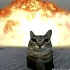 kfjacob7