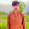 jalsiawall00