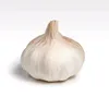 chesnok_222