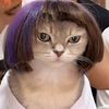 roxy200291