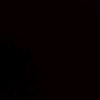 torolocl383yrr