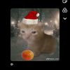 vini_yga