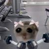 arri_gym