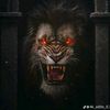 mrexperts1