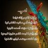 dzz.rayan