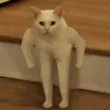 rafasworld_0