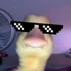 racheiobicoreal