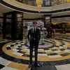 ezzat.haitham