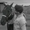 ali4444a7