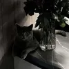 dior_music_205