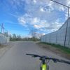 vanil_bro1
