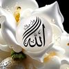 mdeen135
