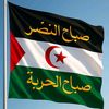 fatma.hamda84