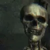 zzmyroy