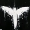 y3sw_