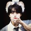 quokka.crybb_hanjiss