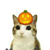 sillybilly_123417