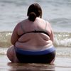 whimsicalwhale5