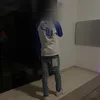 veiledvision22