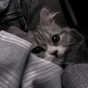 n1xly_