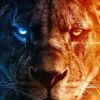 aslan_geld_999