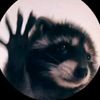 animallover4life4