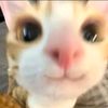 iki_uwong36