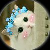 🦋🦋!!..𝐢‘𝐭𝐬 𝐦𝐞..!!🦋🦋