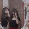 zf.zf67