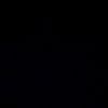 alexis_41195