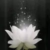 tu.miu05