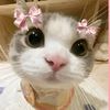lil_peep1228