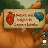 adoonalle699
