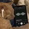 lyrics_songs_p2