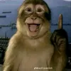 huu.phong76