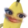 criscr0ss2