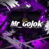 mr_gojok