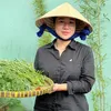 Gia Đình Vân Vân